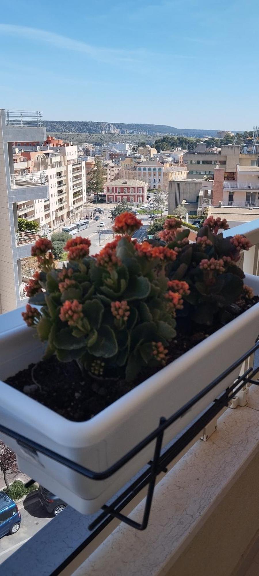 My Home Матера Екстер'єр фото